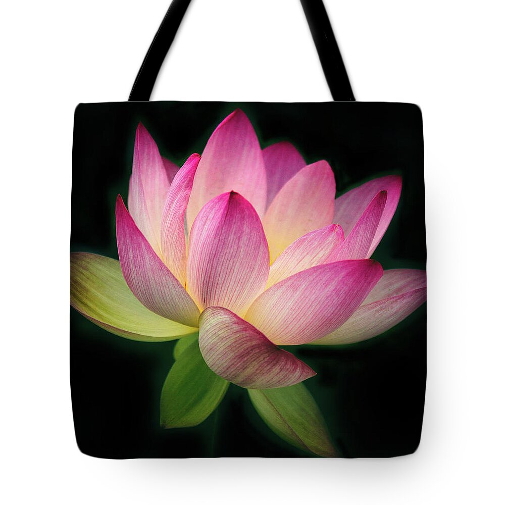 Lotus in the Limelight Tote Bag by Jessica Jenney - Jessica Jenney