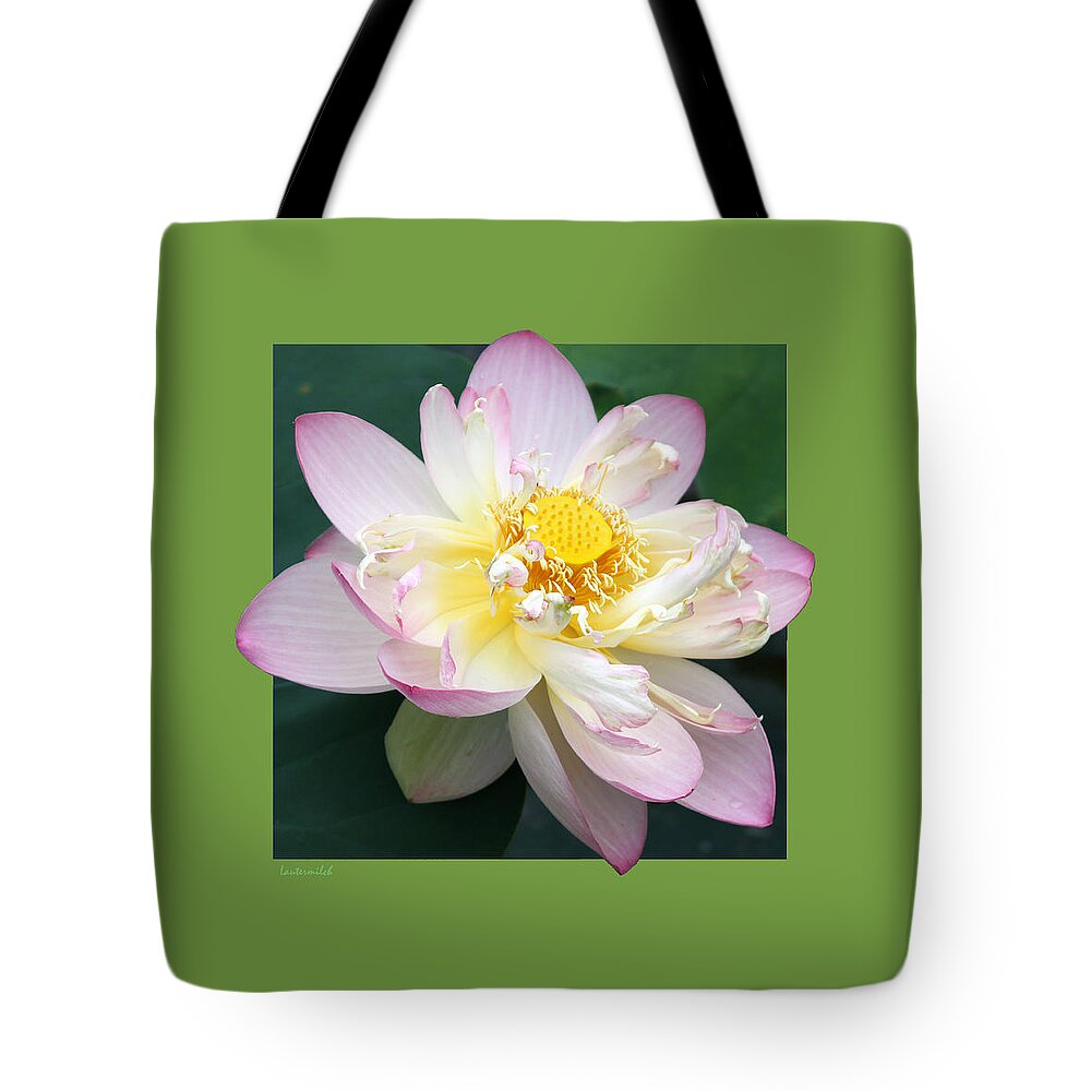 Lotus Tote Bag featuring the photograph Lotus On Green by John Lautermilch