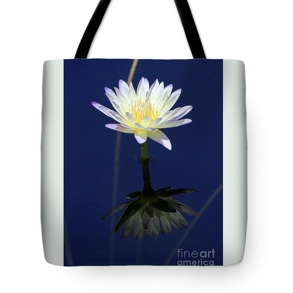 Lotus Tote Bag featuring the photograph Lotus Reflection by Paula Guttilla