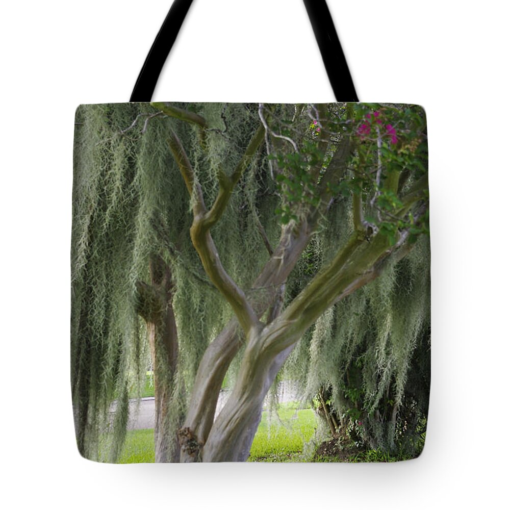 Photograph Tote Bag featuring the photograph Louisiana Moodiness by Rhonda McDougall