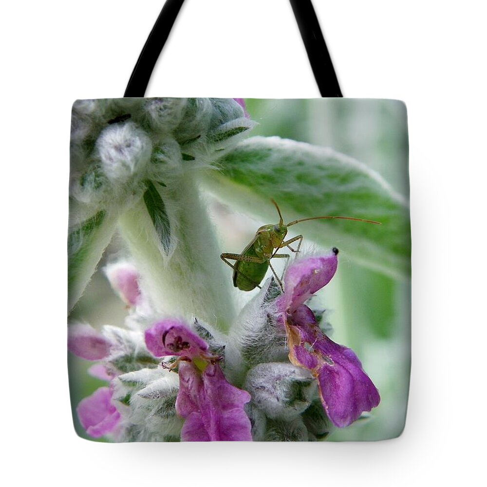 Nature Tote Bag featuring the photograph Lounging on the Lambs Ear by Peggy King
