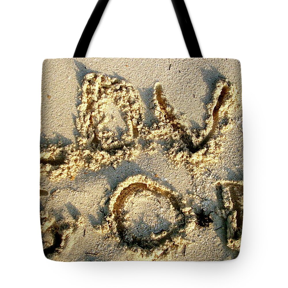 Sand Tote Bag featuring the photograph Love God by Michelle Gilmore