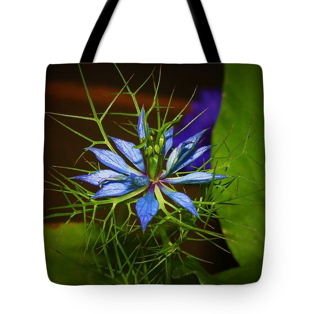 Blue Tote Bag featuring the mixed media Love in A Mist by Anthony Seeker
