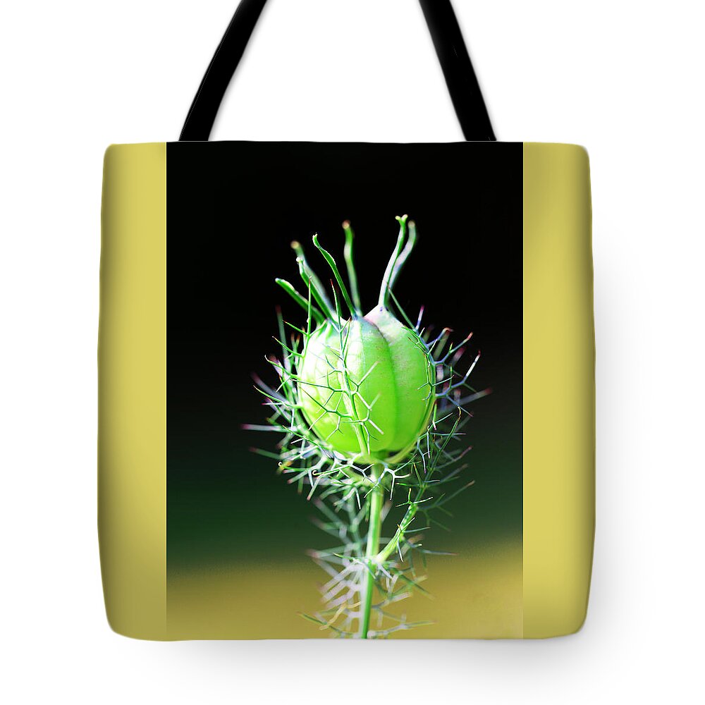 Love In The Mist Tote Bag featuring the photograph Love in the Mist Alien by Tammy Pool