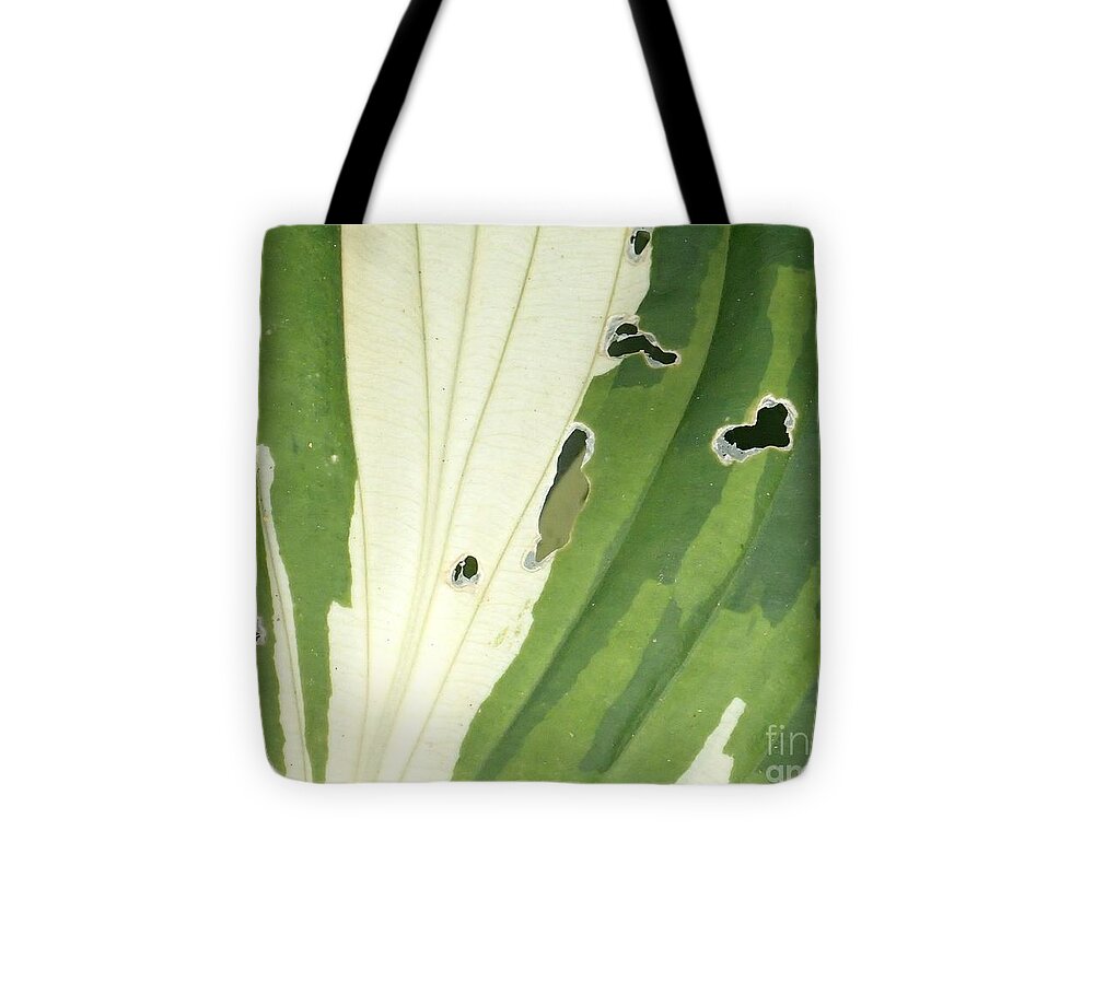 Plant Tote Bag featuring the photograph Love Is Everywhere by Christina Verdgeline