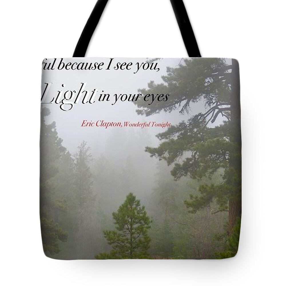  Tote Bag featuring the photograph Love Light by David Norman