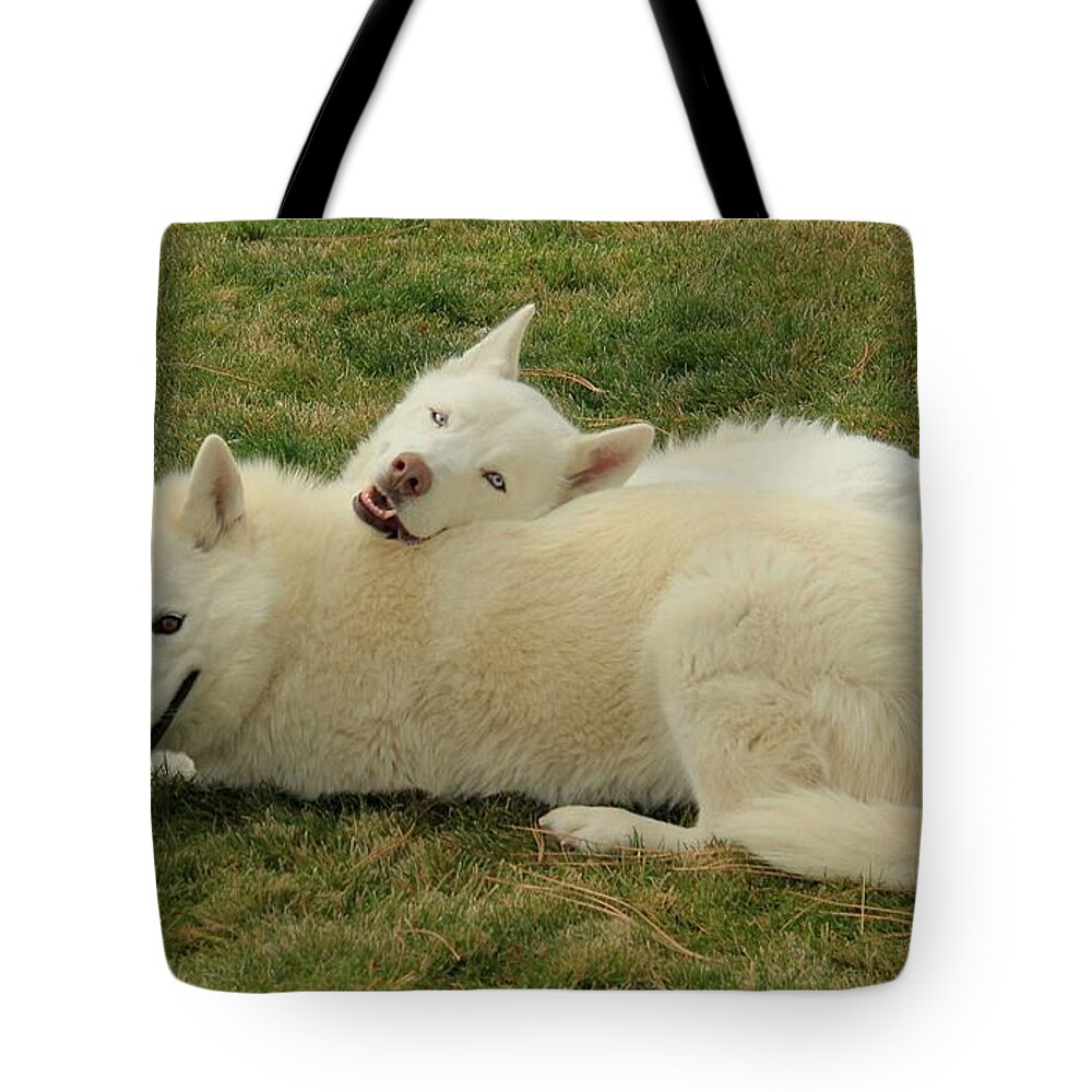 Pack Tote Bag featuring the photograph Love by Sean Sarsfield
