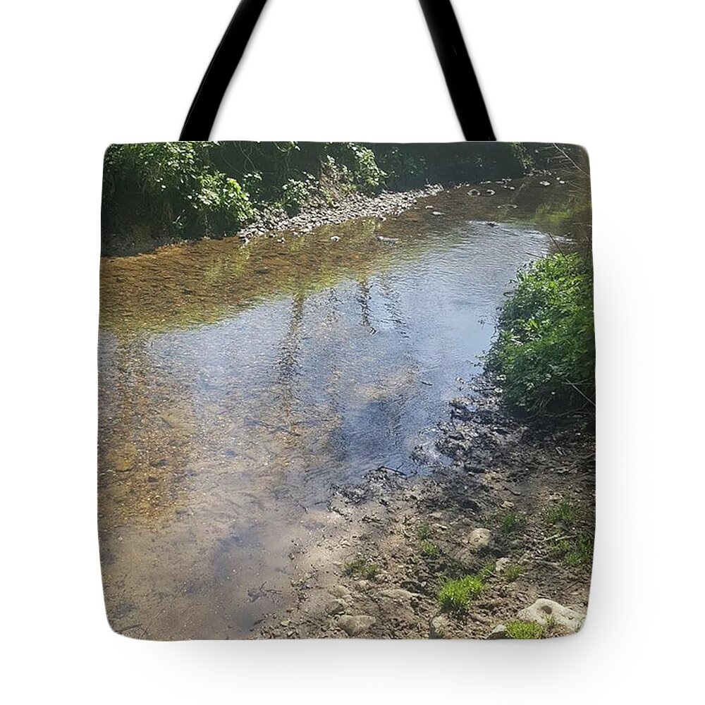 Outdoorfun Tote Bag featuring the photograph Love That The Weather Is Nicer Today by Tanya Lynn