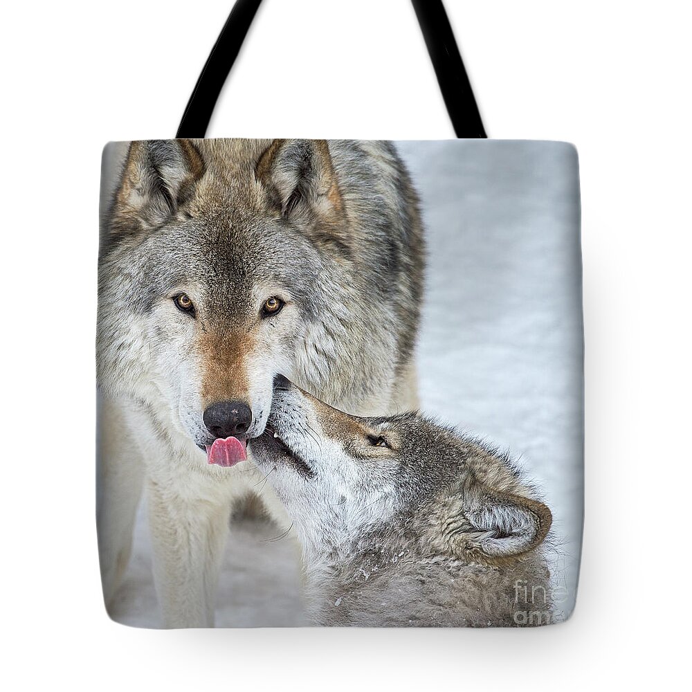 Nina Stavlund Tote Bag featuring the photograph Love you Dad.. by Nina Stavlund