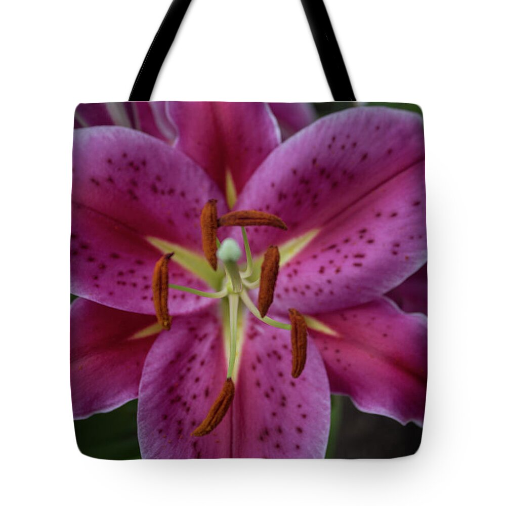 Lily Tote Bag featuring the photograph Lovely Lily by Roberta Byram