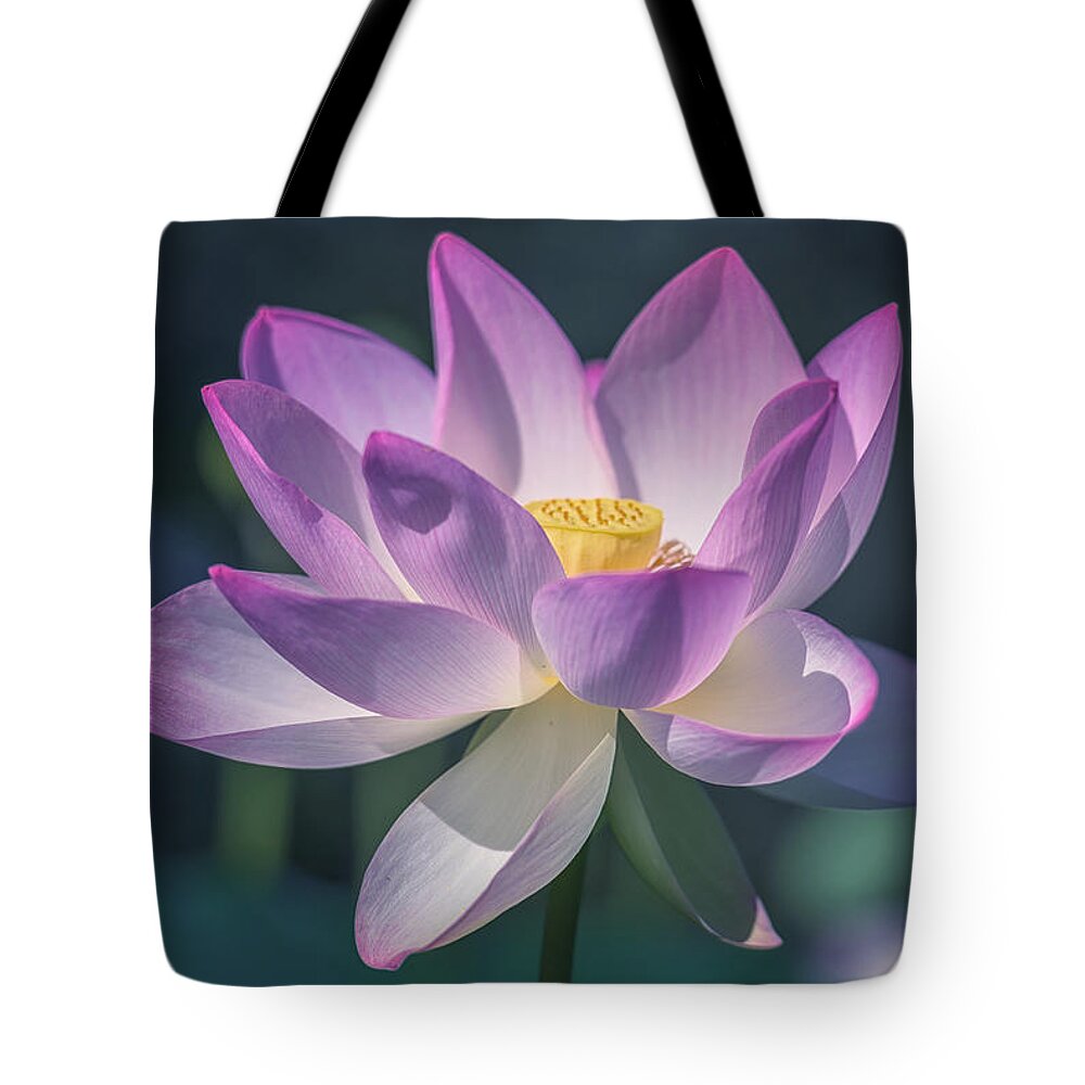 Lotus Tote Bag featuring the photograph Lovely Lotus by Cindy Lark Hartman