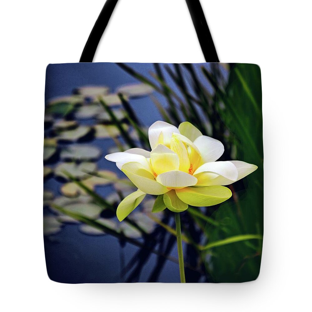 Lotus Tote Bag featuring the photograph Lovely Lotus by Jessica Jenney