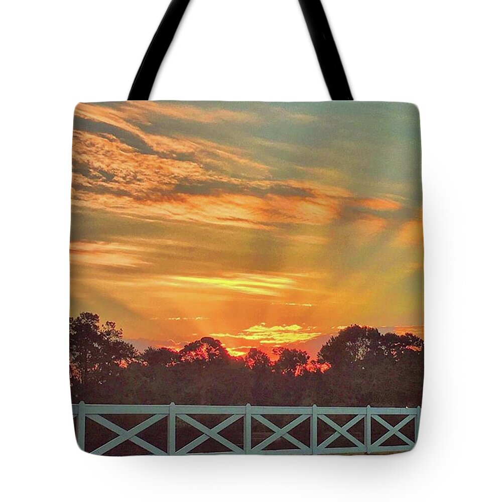 Lowcountry Tote Bag featuring the photograph Lovely Lowcountry Sunrise This Morning by Cassandra M Photographer
