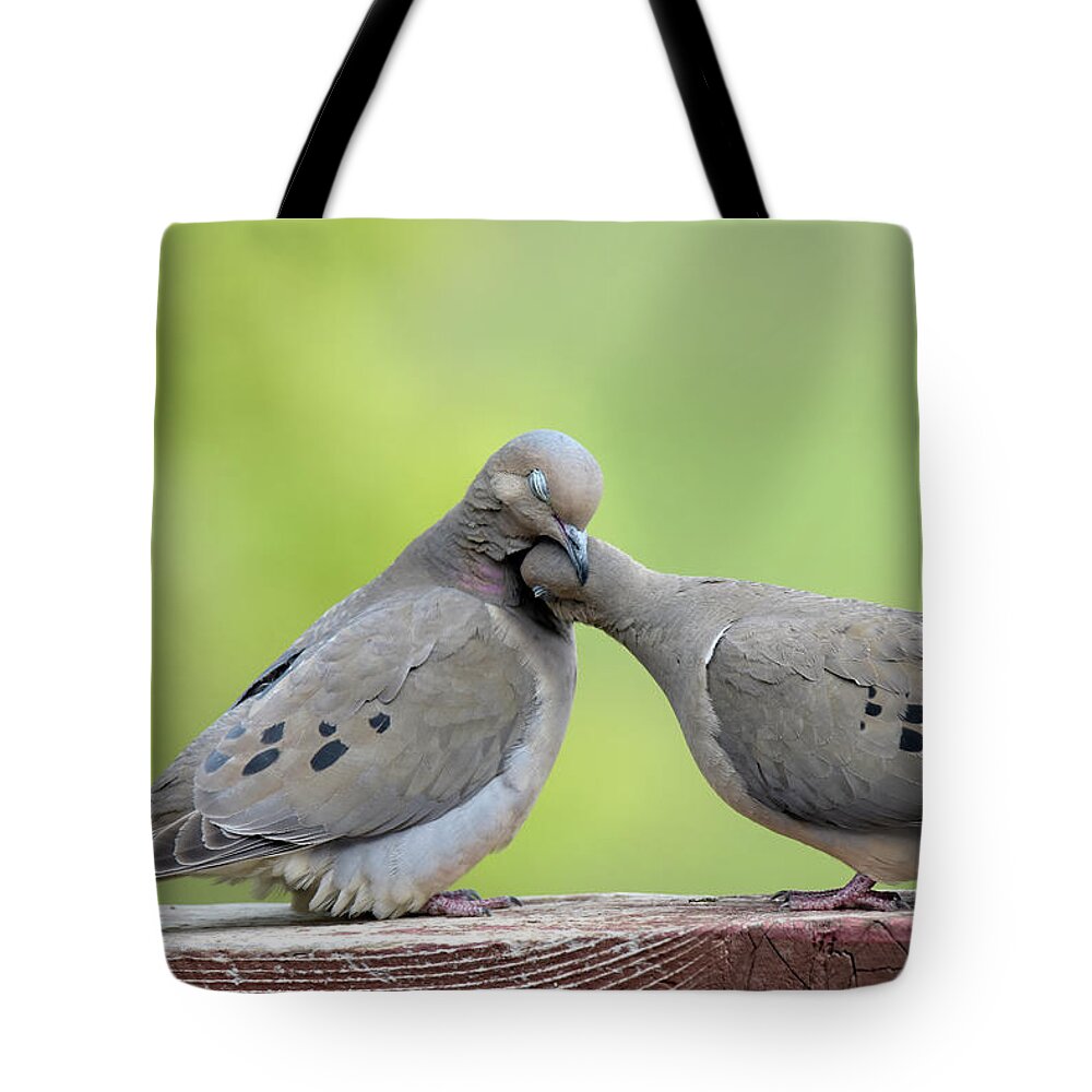 Mourning Doves Tote Bag featuring the photograph Lovey Doveys by Judi Dressler