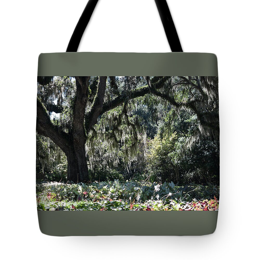 Photograph Tote Bag featuring the photograph Low Country Series II by Suzanne Gaff