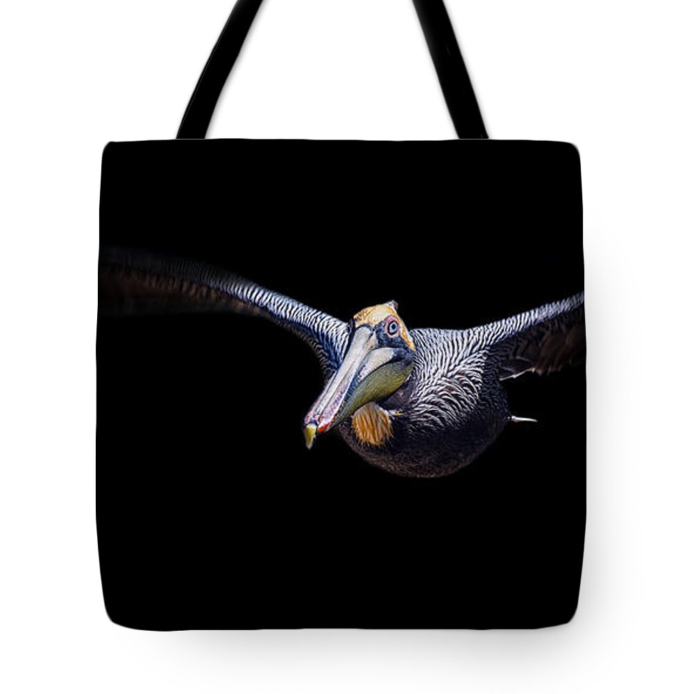 Crystal Yingling Tote Bag featuring the photograph Low Flight by Ghostwinds Photography