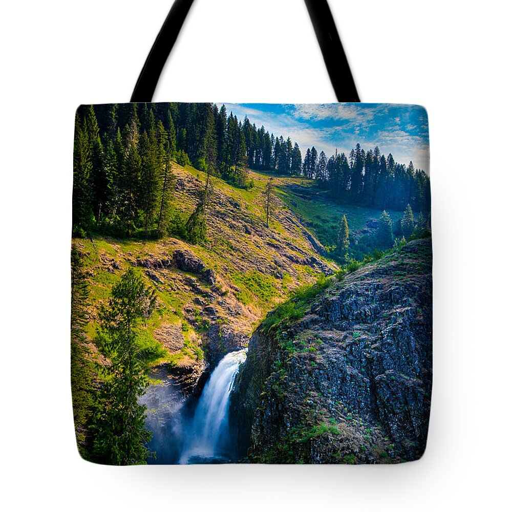 Tote Bag featuring the photograph Lower Falls - Elk Creek Falls by Rikk Flohr