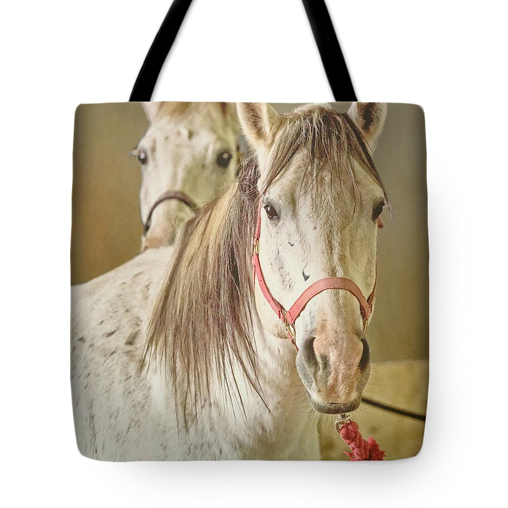 Lower Valley Horsemans Association Tote Bag featuring the digital art Lower Valley Horsemans Association #1 by Walter Herrit