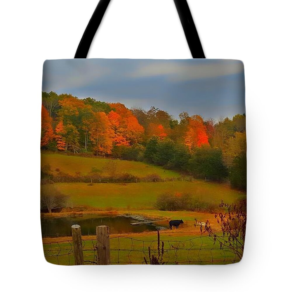 Autumn Tote Bag featuring the photograph Lucky Cow by Dani McEvoy