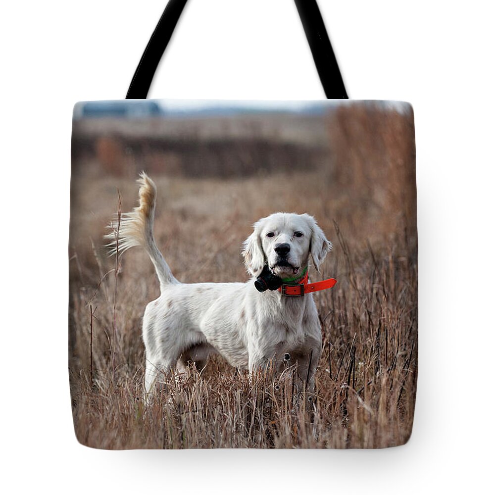 Wingshooting Tote Bag featuring the photograph Luke - D010076 by Daniel Dempster