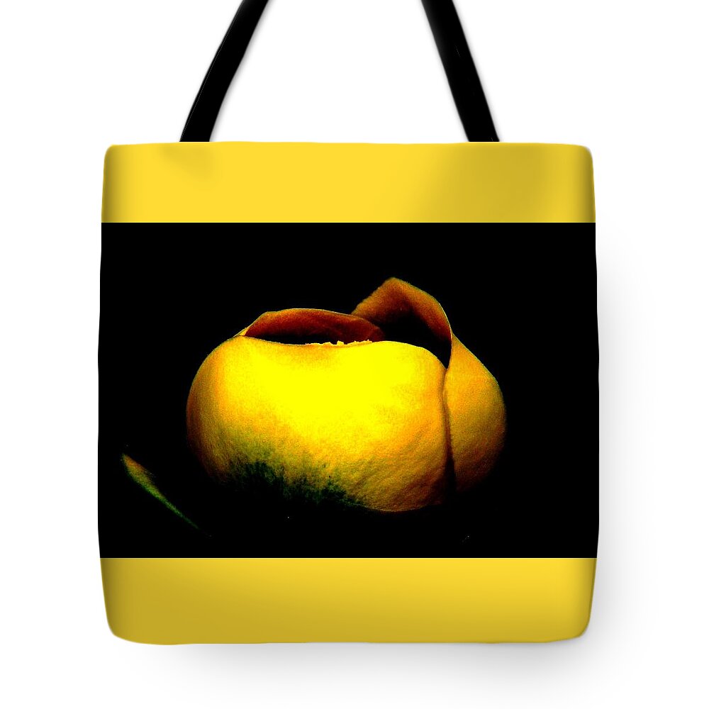 Yellow Lotus Tote Bag featuring the photograph Luminous Lotus by Angela Davies
