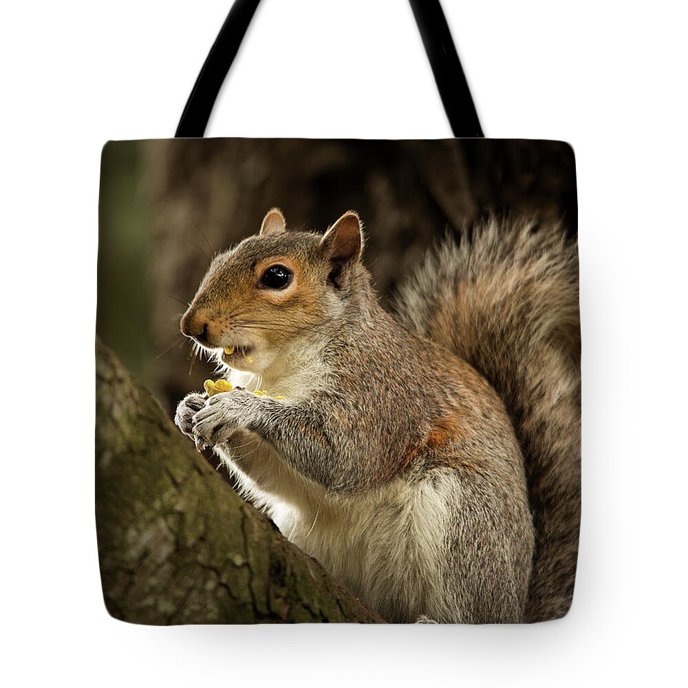 Animal Tote Bag featuring the photograph Lunch by Bob Cournoyer