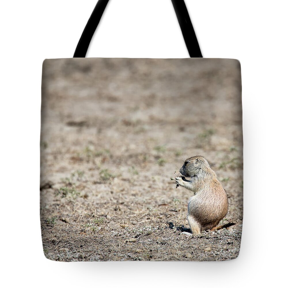 Dog Tote Bag featuring the photograph Lunch Time by David Buhler