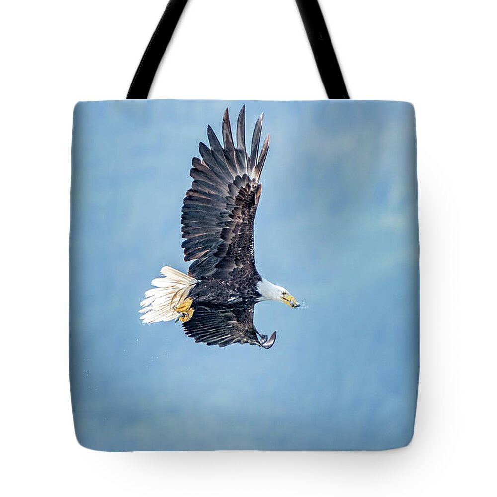Raptor Tote Bag featuring the photograph Lunch time by Canadart -