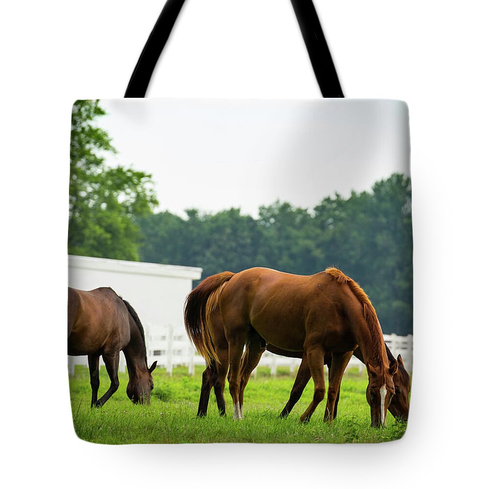 Horses Tote Bag featuring the photograph Lunch Time by Walt Baker
