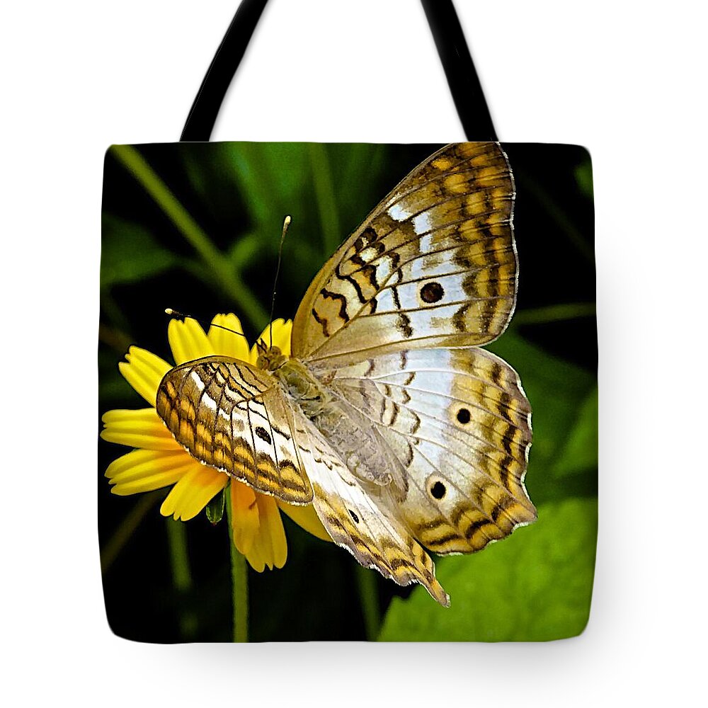 Butterfly Tote Bag featuring the photograph Lunchtime at Wonderland by Barbara Zahno