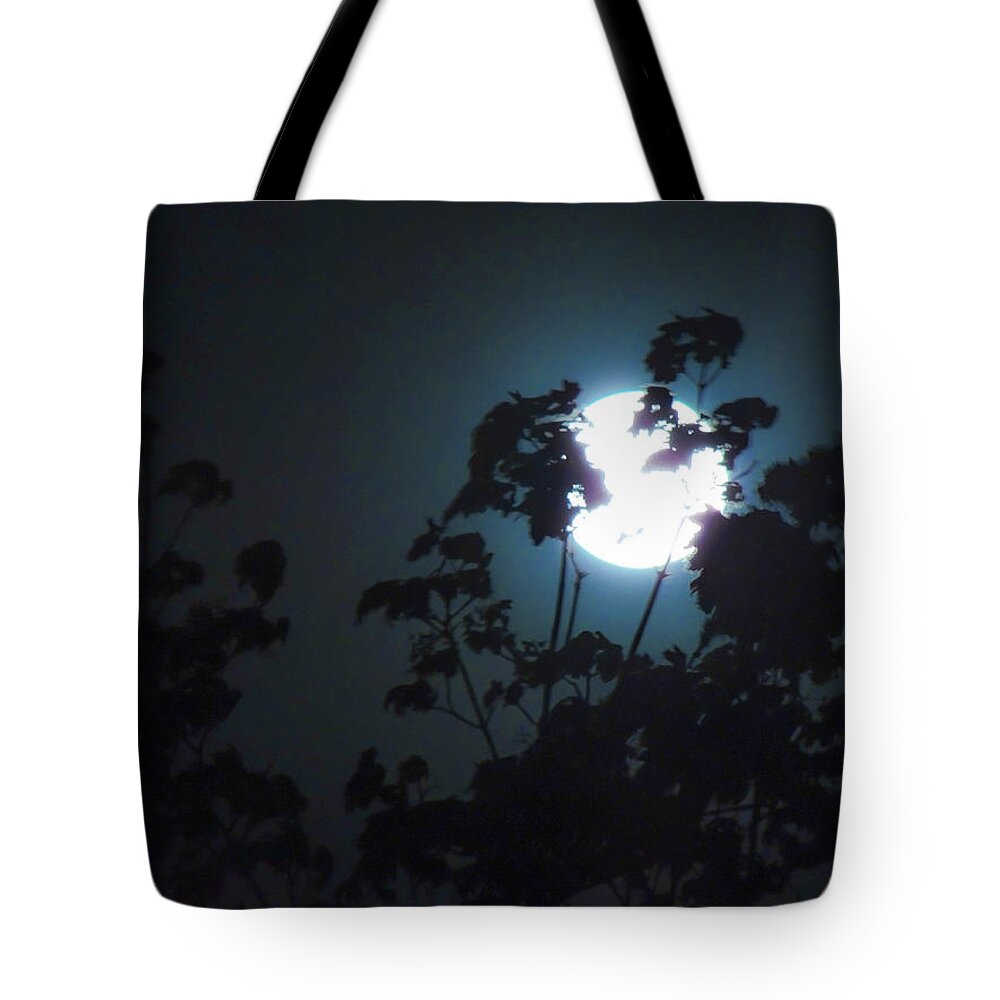 Landscapes Tote Bag featuring the photograph Luner Leaves by Glenn Feron