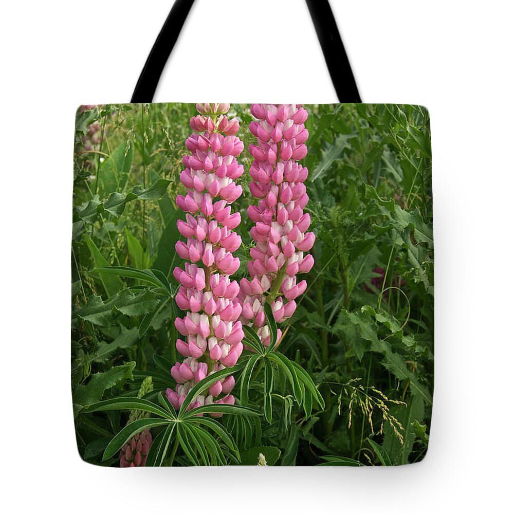 Lupine Tote Bag featuring the photograph Lupine 2268 by Michael Peychich