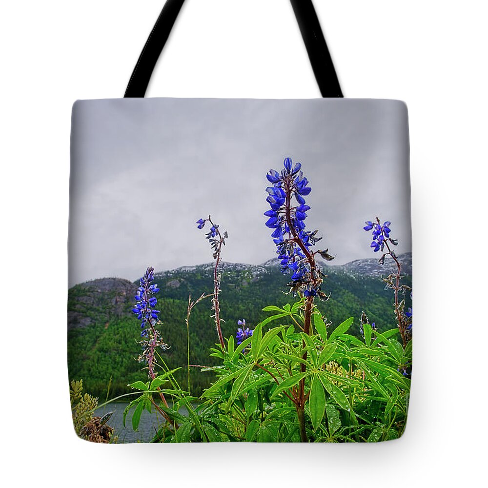 Lupines Tote Bag featuring the photograph Lupine and Mountains by David Arment