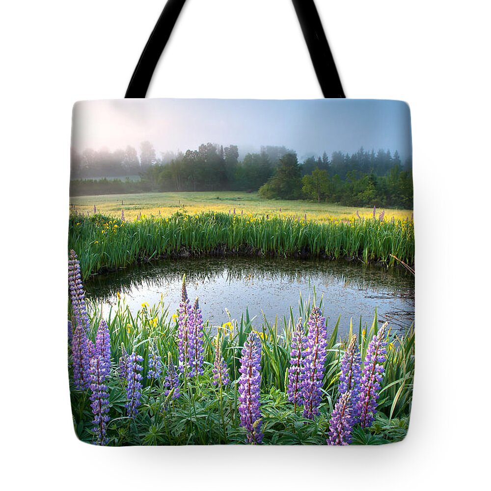 Flowers Tote Bag featuring the photograph Lupine Dawn by Susan Cole Kelly