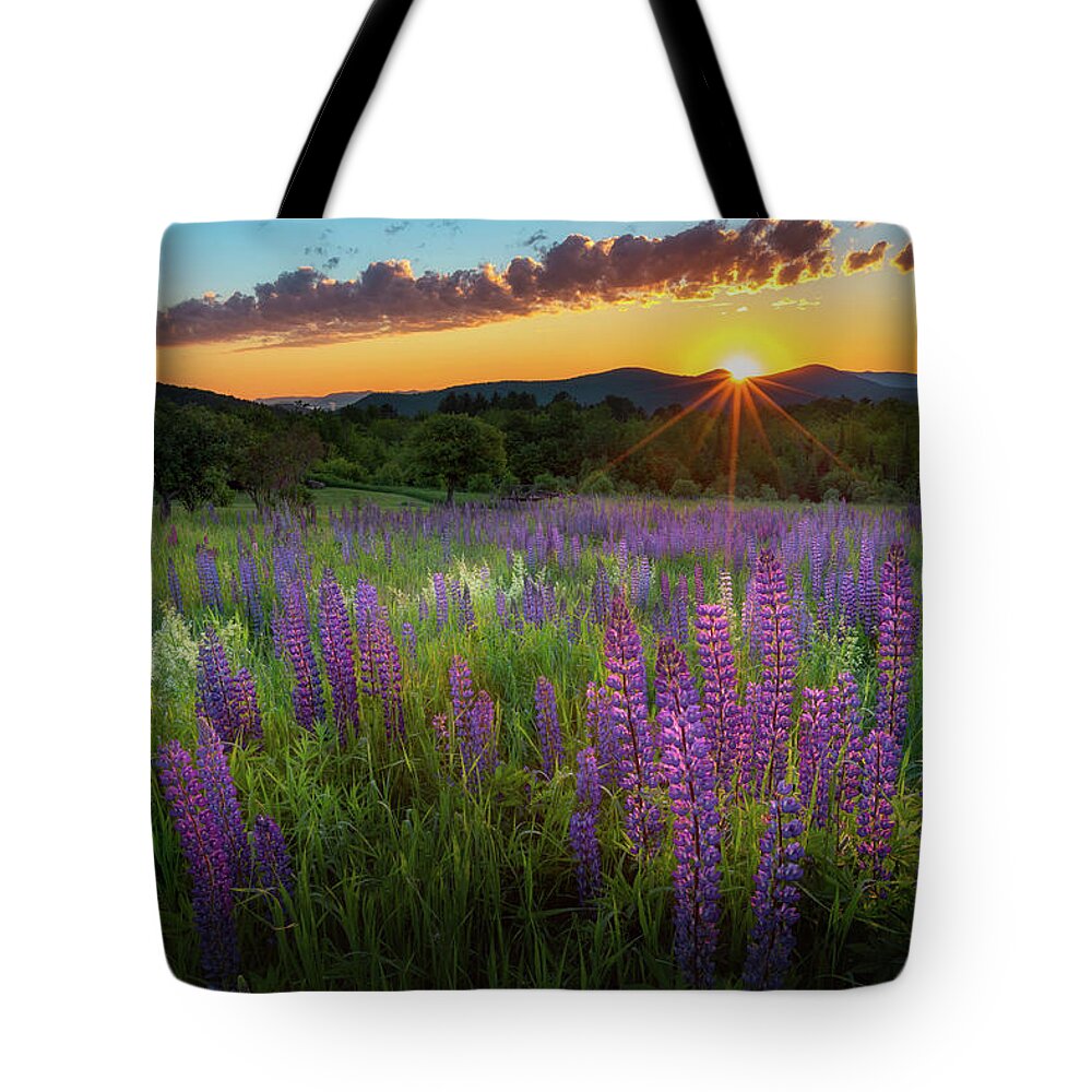 Sunrise Tote Bag featuring the photograph Lupine Lumination by Bill Wakeley