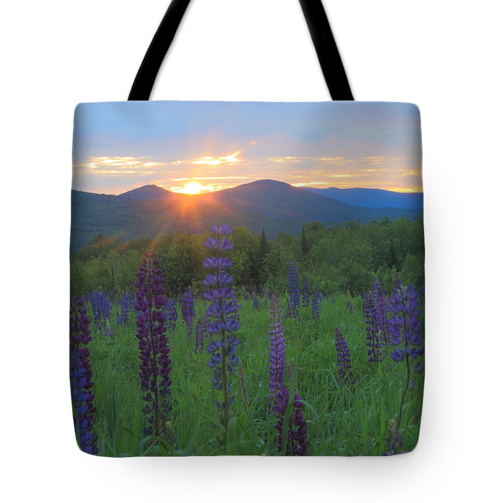 Sugar Hill Tote Bag featuring the photograph Lupine Meadow at Sunrise by John Burk