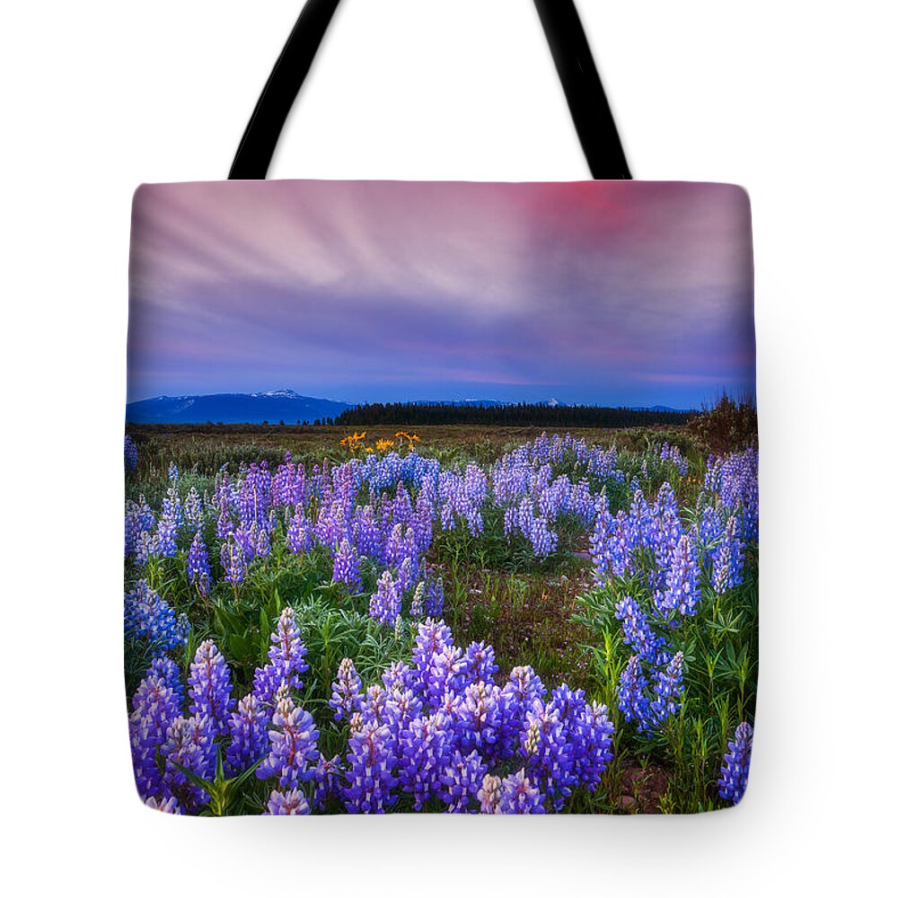 Wildflowers Tote Bag featuring the photograph Lupine Morning by Darren White