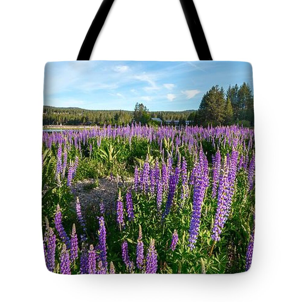 Lupines Tote Bag featuring the photograph Lupines at Lake Tahoe by Janet Kopper