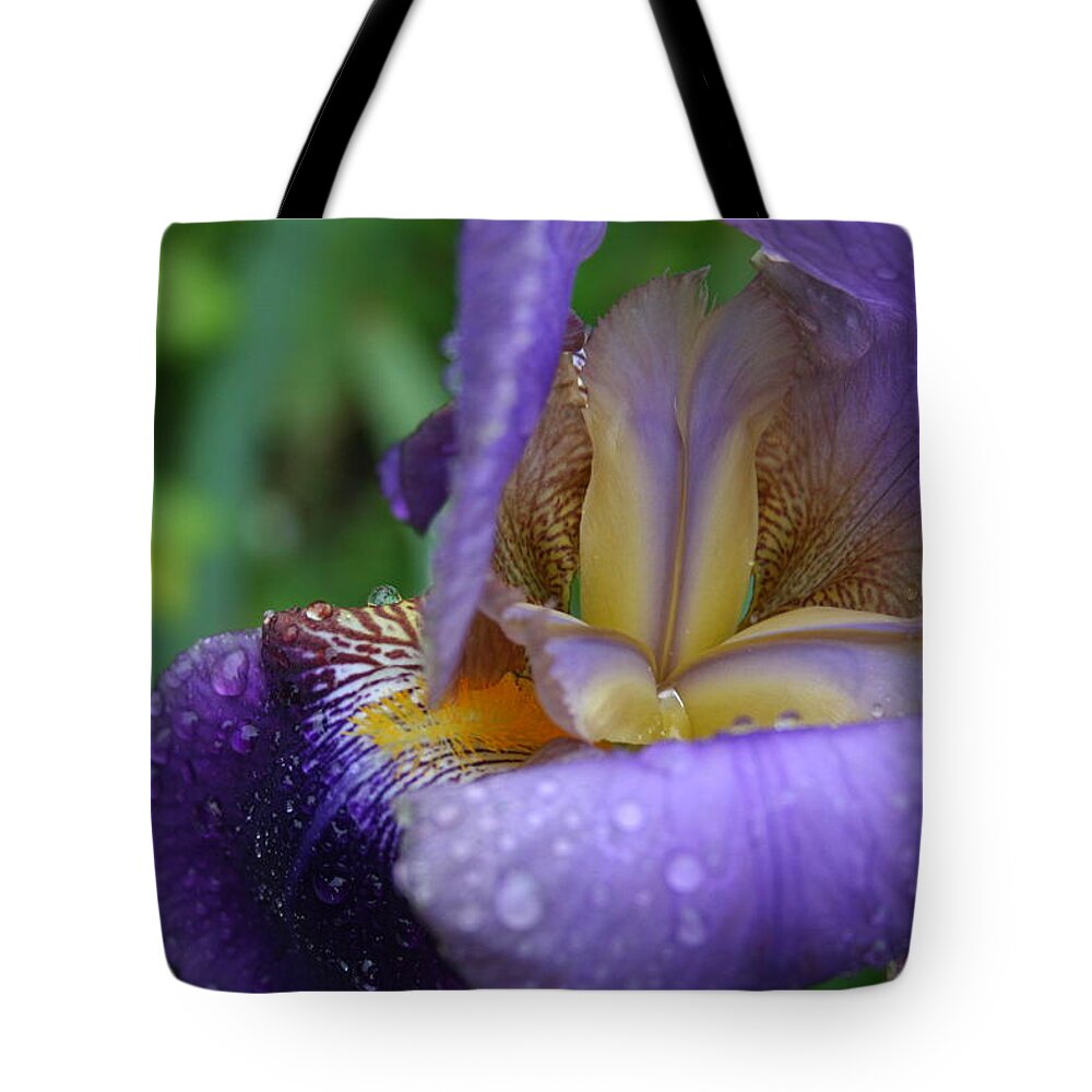 Iris Tote Bag featuring the photograph Luscious Blooming Iris by Mary Gaines