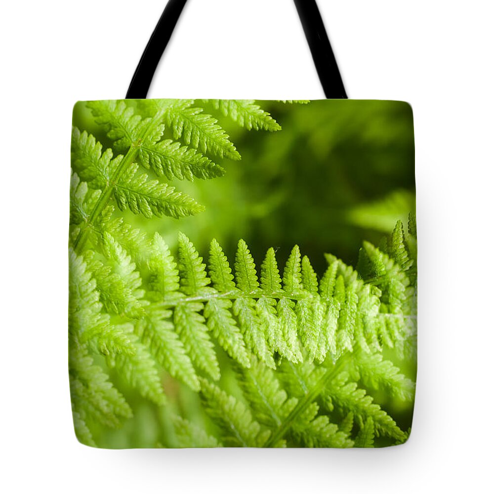 Abstract Tote Bag featuring the photograph Luscious fern by Marcus Karlsson Sall