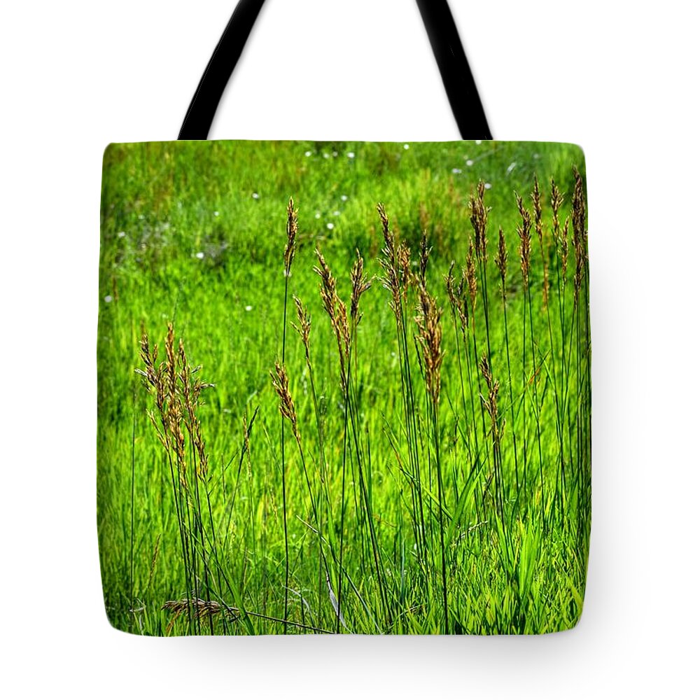 Grass Tote Bag featuring the photograph Lush July by Michael Brungardt