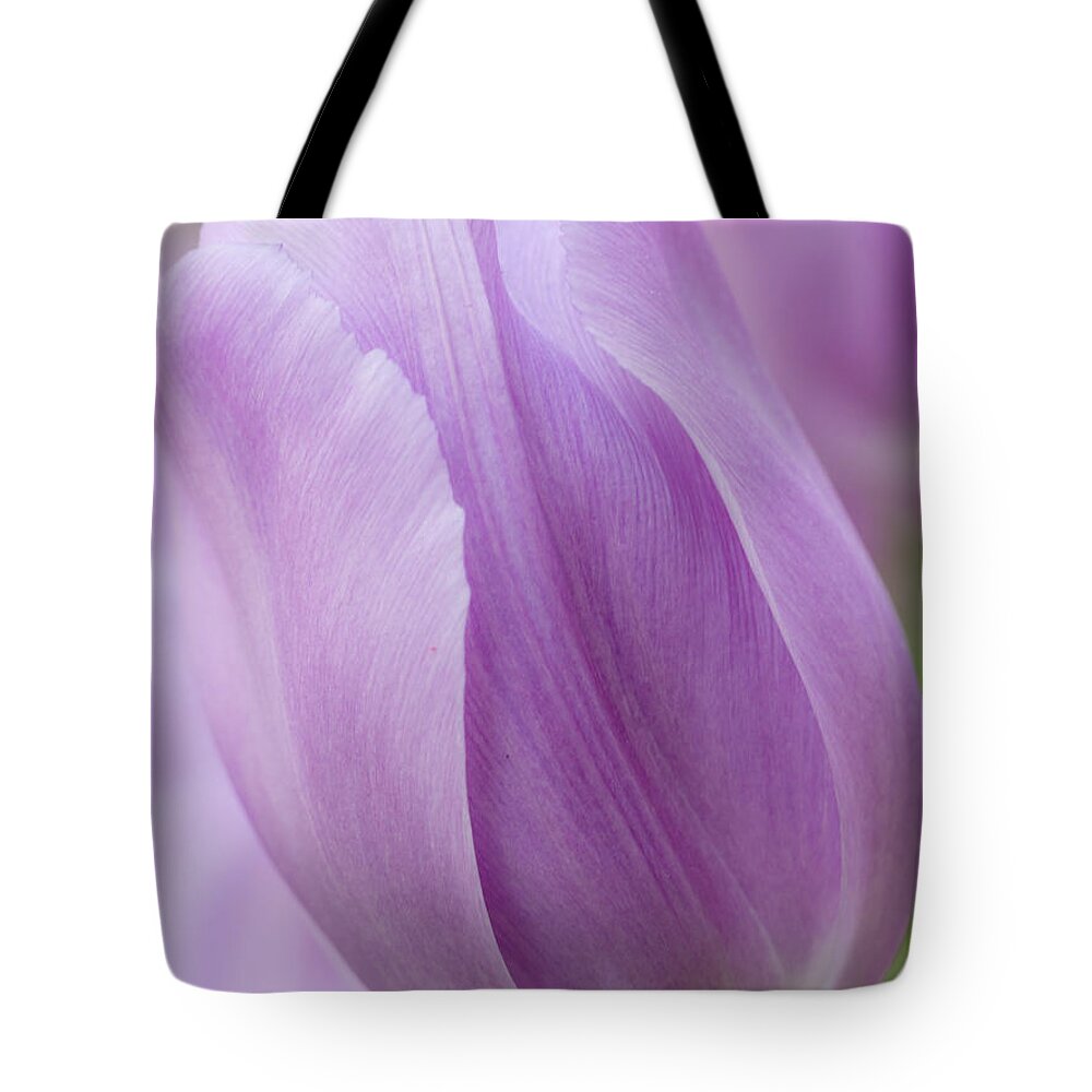 Beauty Tote Bag featuring the photograph Lush Lavender by Eggers Photography