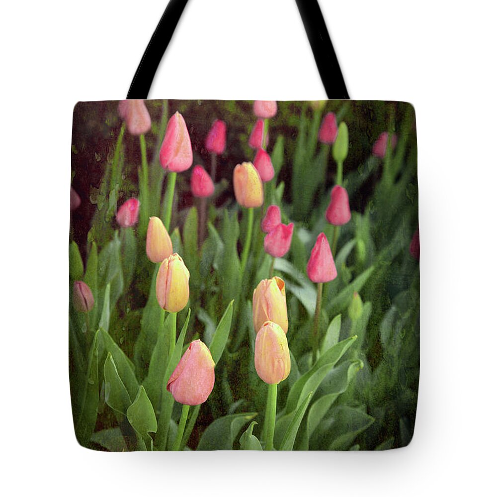 Tulip Tote Bag featuring the photograph Tulips Starting to Bloom by Lynn Sprowl