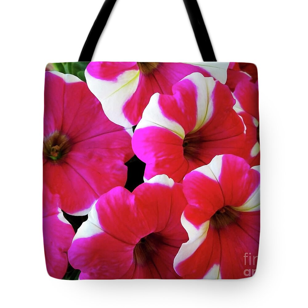 Petunia Tote Bag featuring the photograph Luxuriant Petunia by Jasna Dragun