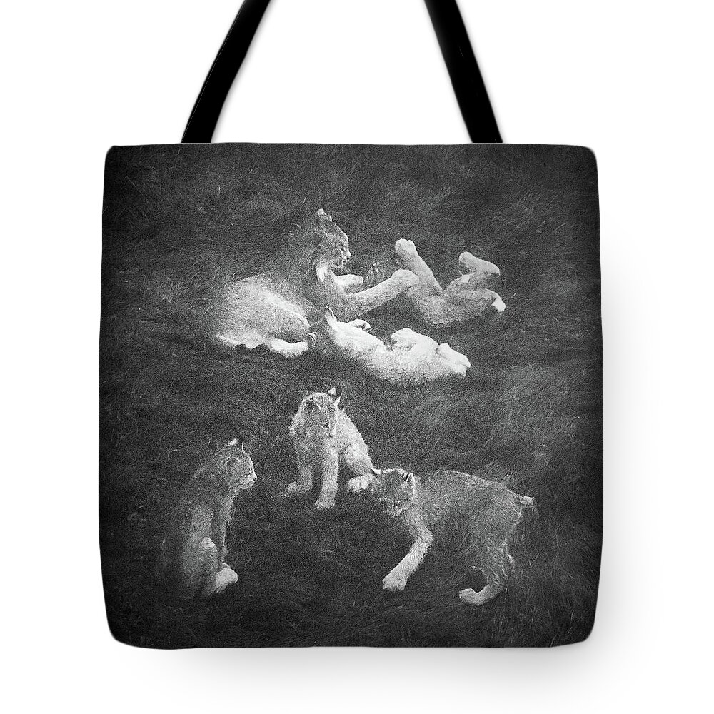 Lynx Tote Bag featuring the photograph Lynx in the Mist bw by Tim Newton