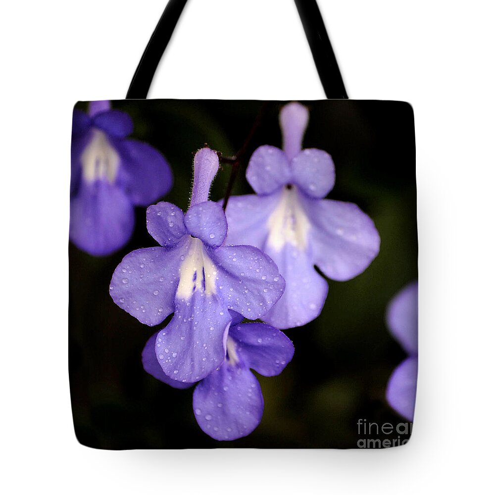 Digital Macro Photography Photographs Tote Bag featuring the photograph M10 by Leo Symon