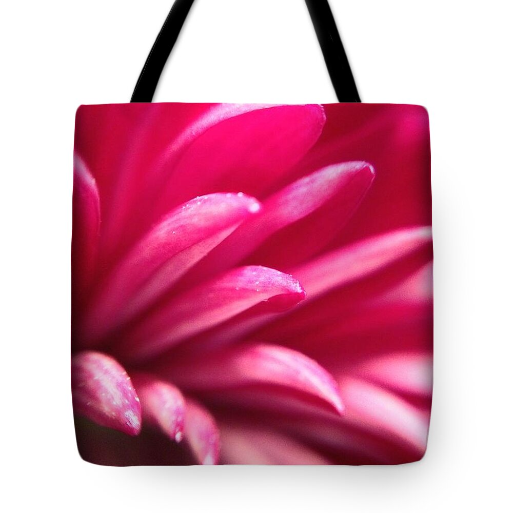 Detail Macro Pink Color Purple Pink Closeup Nature Flower Bloom Blooms Flowers Spring Season Art Colorful Tote Bag featuring the photograph Macro Flower 2 by Andrew Rhine