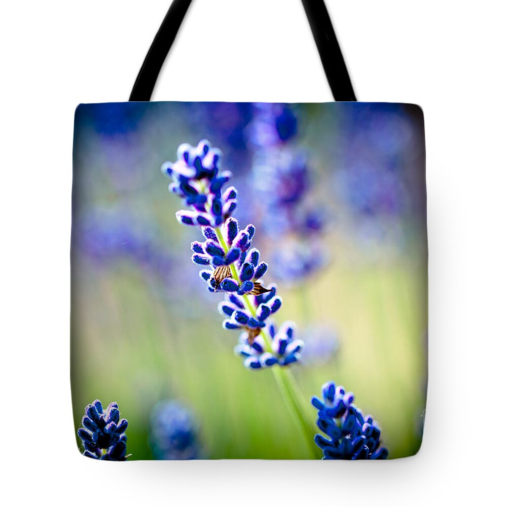 Flowers Tote Bag featuring the photograph Macro Lavander flowers in lavender field Artmif by Raimond Klavins