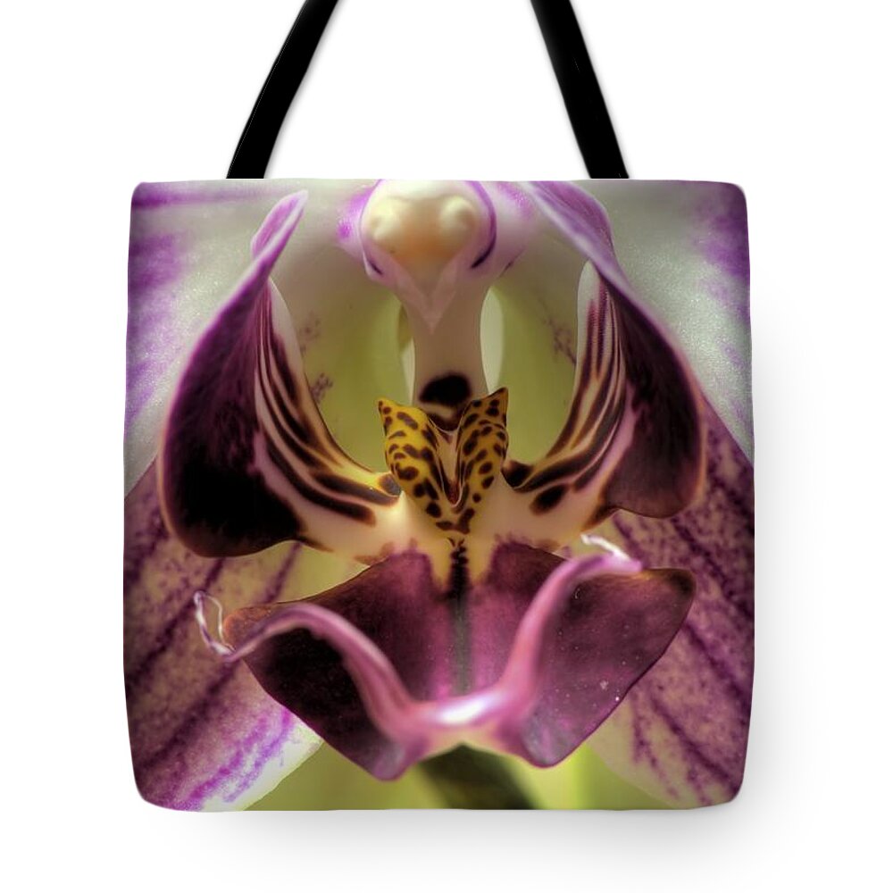 Hdr Tote Bag featuring the photograph Macro Orchid by Brad Granger