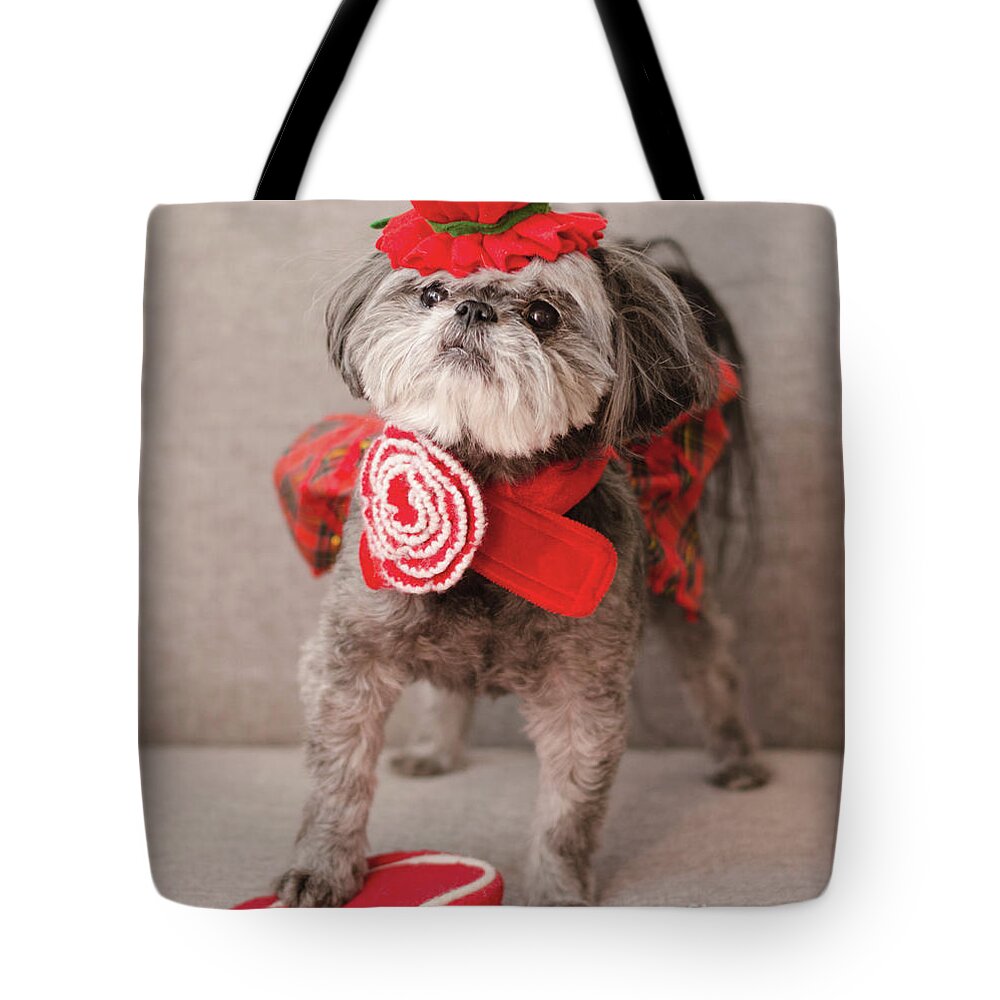 Dog Photography Tote Bag featuring the photograph Madam Scarlett in All Red by Irina ArchAngelSkaya